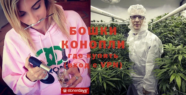 гашик Зерноград