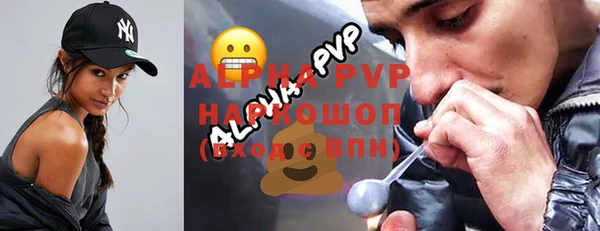 гашик Зеленокумск