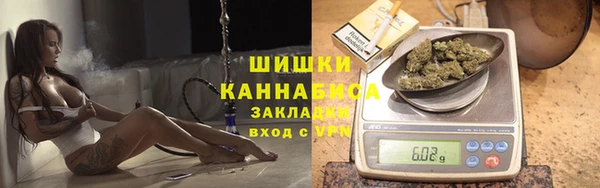 гашик Зеленокумск