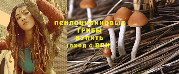 гашик Зерноград